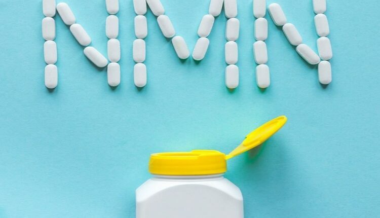 Nicotinamide Mononucleotide Nmn